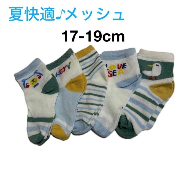 【新品未使用】子供 靴下 メッシュ クルーソックス 鳥 くま 可愛い 男の子