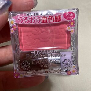 キャンメイク パウダーチークス PW28