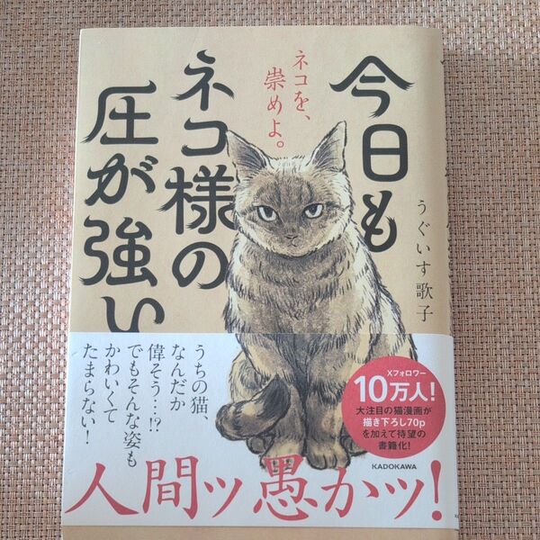 今日もネコ様の圧が強い うぐいす歌子/著