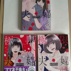 極限夫婦 1.2.3巻 3巻セット きづきあきら、サトウナンキ