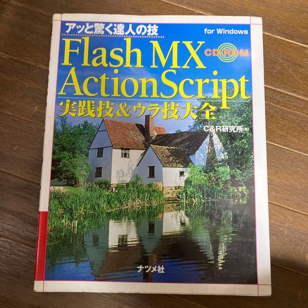 Flash MX ActionScript 実践技&ウラ技大全 Windows