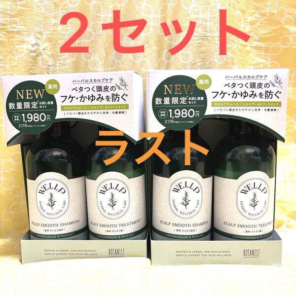 WELLP ウェルプ 薬用スカルプケアシャンプー&トリートメントトライアルセット スムース 340ml+340g 2セット