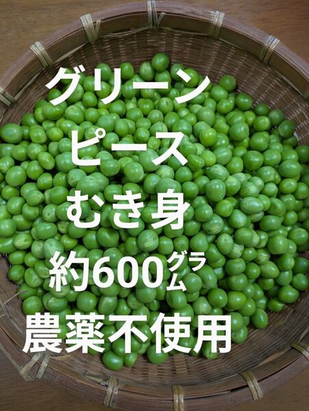 グリーンピース むき身 約600㌘ 農薬不使用