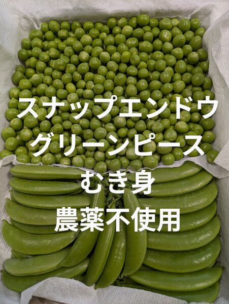 スナップエンドウ 約200㌘ グリーンピース 約300㌘農 薬不使用