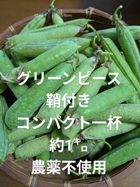 グリーンピース 鞘付き 約1㌔ 農薬不使用