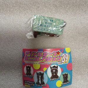 アイドルホースミニコレクション シンエンペラー ガチャ