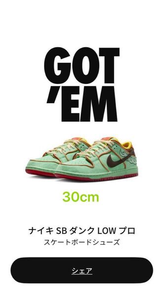 Nike SB Dunk Low Pro "Tourmaline" 30cm ナイキ ダンク ロー トルマリン