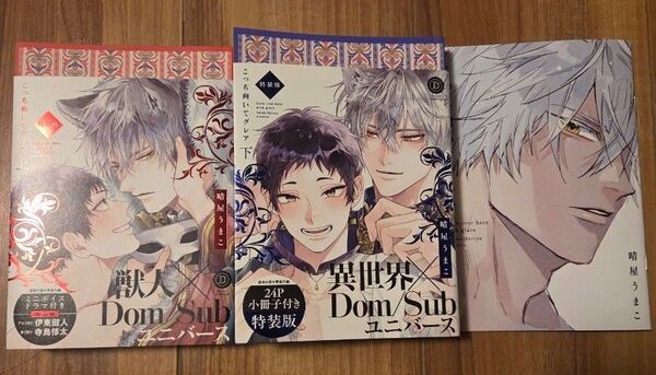 こっち向いてグレア 上下 特装版 デイジーコミックス/晴屋うまこ 〔コミック〕
