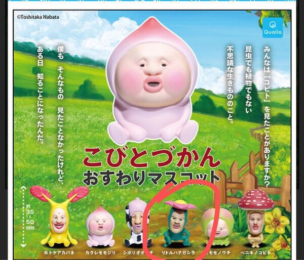 こびとづかん おすわりマスコット リトルハナガシラ