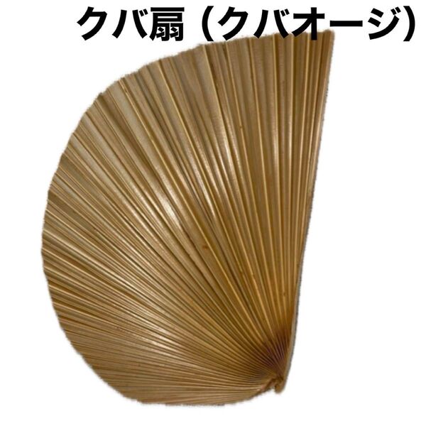 扇子 扇 クバ扇 クバオージ 檳榔 ビロウ 伝統工藝品 伝統工芸品 民芸品 沖縄 琉球 沖縄土産 お土産 くば扇 民具 神具