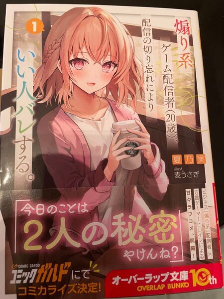 煽り系ゲーム配信者〈20歳〉、配信の切り忘れによりいい人バレする。 1 (オーバーラップ文庫 な-04-01) 夏乃実/著