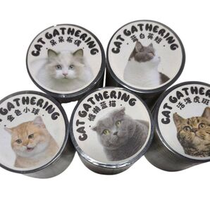 新品☆YANJI 言己 猫 キャット PET テープ ステッカー 5種