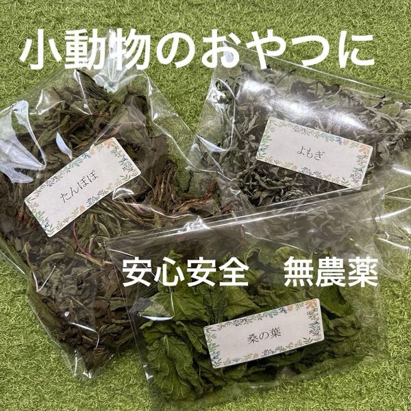 【小動物用おやつ・無農薬・天日干し】たんぽぽ・桑の葉・よもぎセット