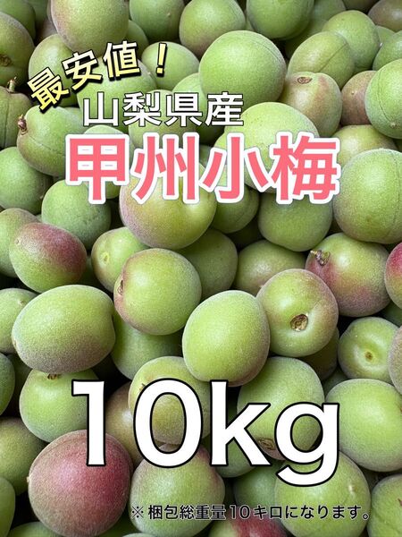 格安!甲州小梅 10キロ