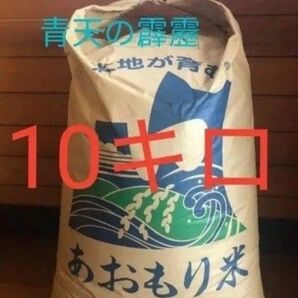 青天の霹靂 10kg 5/8限り値下げ中