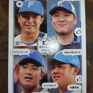 北海道日本ハムファイターズ フォトポストカード 郡司 奈良間 吉田 グーリン