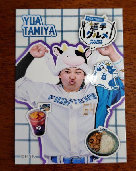 北海道日本ハムファイターズ 田宮裕涼 エスコン 選手グルメ トレカ 64