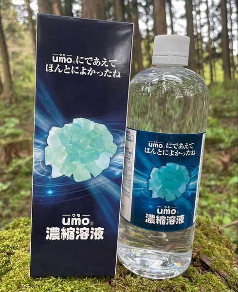 〈即購入ok!〉umo500ml 濃縮溶液 ウモ シリカ 珪素