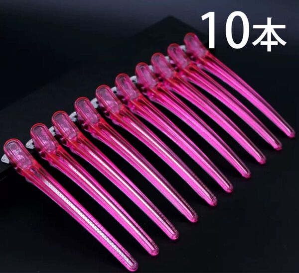 10本 新品 ダッカールピン ヘアクリップ ヘアピンセルフカット ピン 美容業界 ダッカール #bi-sd0105