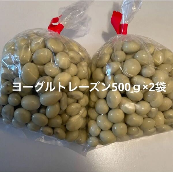ヨーグルトレーズンチョコ 500g 2袋