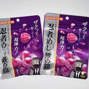 早い者勝ち!忍者めし 鉄の鎧 グレープ味 × 2袋セット