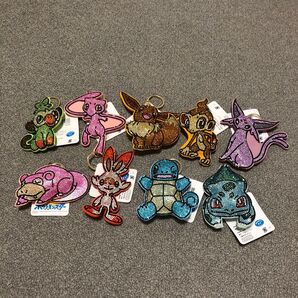 ポケモンストラップ.ポケモンキーホルダー.ポケモンセット.ストーンキーホルダー.アクセサリー.イーブイミュウゼニガメフシギダネ