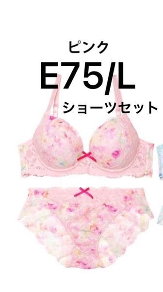【E75サイズ】 大人気フレッシュスウィートブラジャー&バック透けフルバックショーツ5/16新作