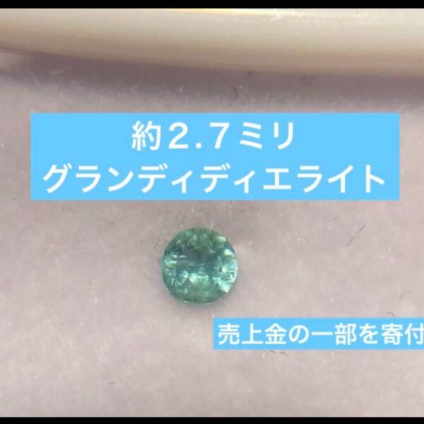 【最終値】グランディディエライト 宝石 ルース 天然石 希少石 レアストーン ブルーグリーン系? グリーンブルー系? 約2.7ミリ