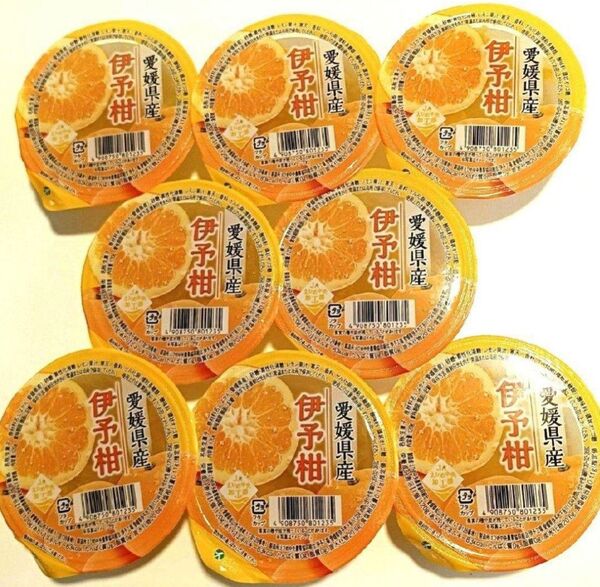 残り3セット★1280円★JAえひめ 愛媛県 特産品 伊予柑果肉入りゼリー 8個