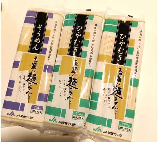 愛媛 吾輩ハ麺デアル ひやむぎand そうめん 9食入り