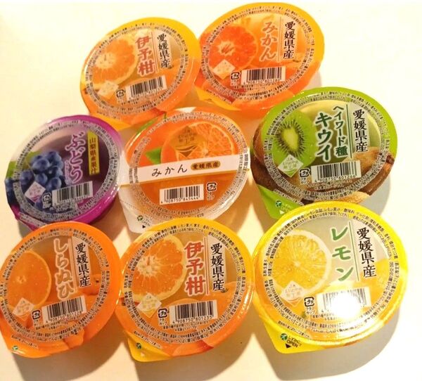 えひめ中央農業協同組合 国産果肉入りフルーツゼリー8点セット 値下げ不可