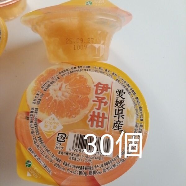 えひめ中央農業協同組合 愛媛県産 伊予柑ゼリー さっぱりしていて 果肉たっぷり寒天入り