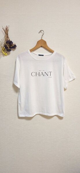 送料無料 ロゴTシャツ LL おかだゆりさん しまむら