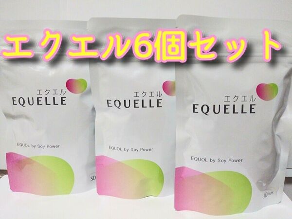【新品・未開封】エクエル パウチ 120粒×6袋 セット
