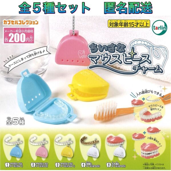 ちいさなマウスピースチャーム 全5種 コンプ ガチャ ミニチュア マスコット