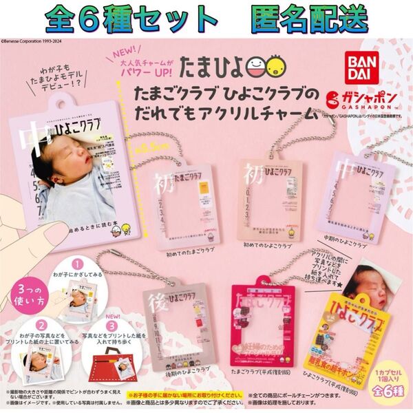 たまごクラブひよこクラブのアクリルチャーム 全6種 コンプ ガチャ たまひよ
