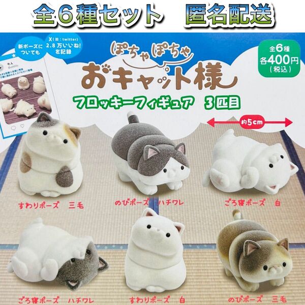 ぽちゃぽちゃおキャット様 フロッキーフィギュア 3匹目 全6種 ガチャ 牛人