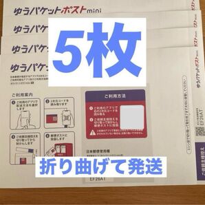 ゆうパケットポストミニ専用封筒5枚