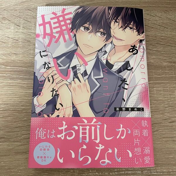 【新品未読】あした、嫌いになりたい 茶野まめこ