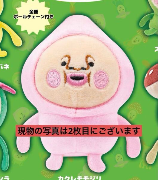 こびとづかんのぬいぐるみ カクレモモジリ ガチャ