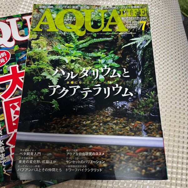 AQUA LIFE (2018年7月号) 月刊誌/エムピージェーなど三冊セット