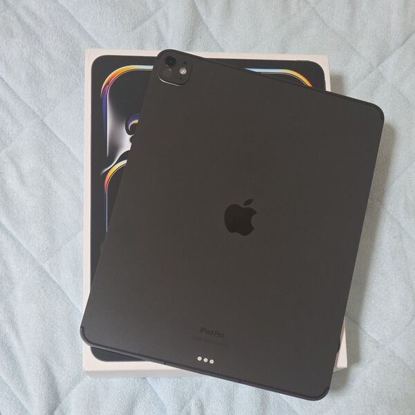 iPad Pro 13インチ M4 256GB