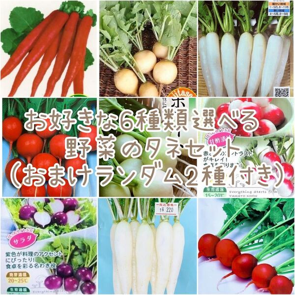 お好きな6種類選べる 野菜のタネセット おまけ2種付き