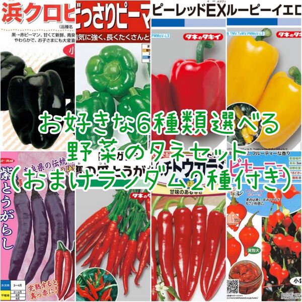 お好きな6種類選べる 野菜のタネセット おまけ2種付き