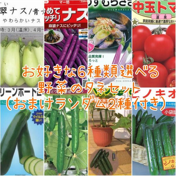 お好きな6種類選べる 野菜のタネセット おまけ2種付き