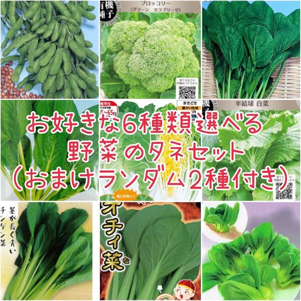 お好きな6種類選べる 野菜のタネセット おまけ2種付き