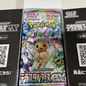 テラスタルフェスexbox