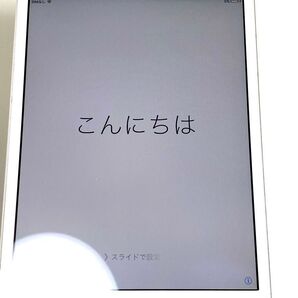 【ジャンク】iPad mini 第一世代 A1455 セルラーモデル