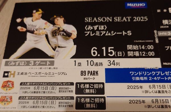 6/15 福岡ソフトバンクホークスvs横浜DeNA戦