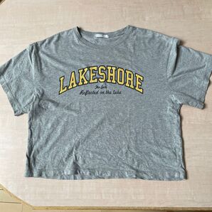 アメリカンホリック フリーサイズ 半袖Tシャツ ロゴ Tシャツ 半袖